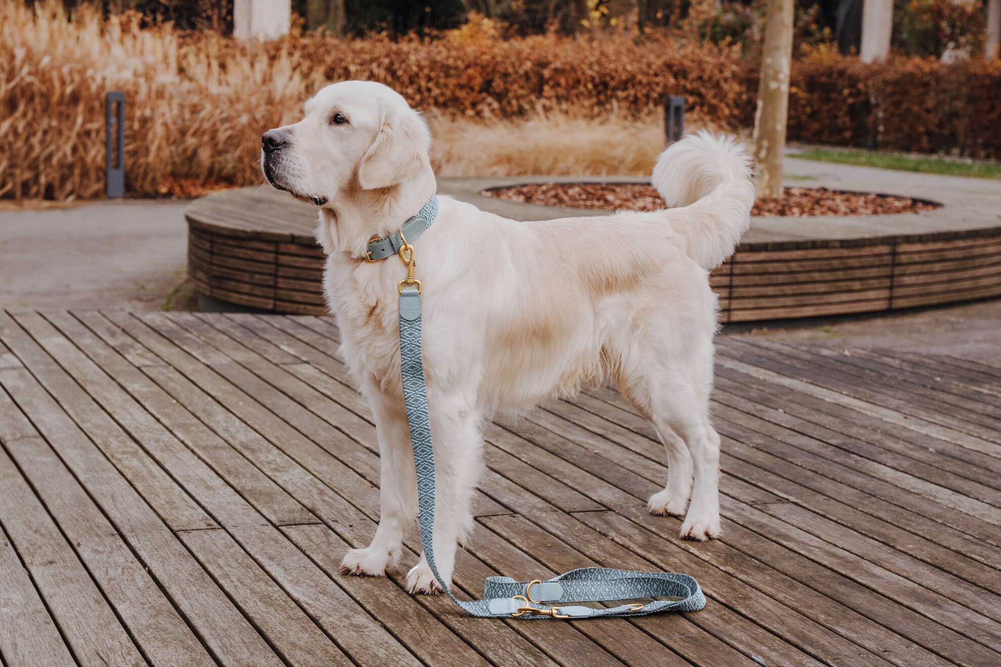 Premium Hundeleine - 3-fach verstellbar - 2m - Anthrazit