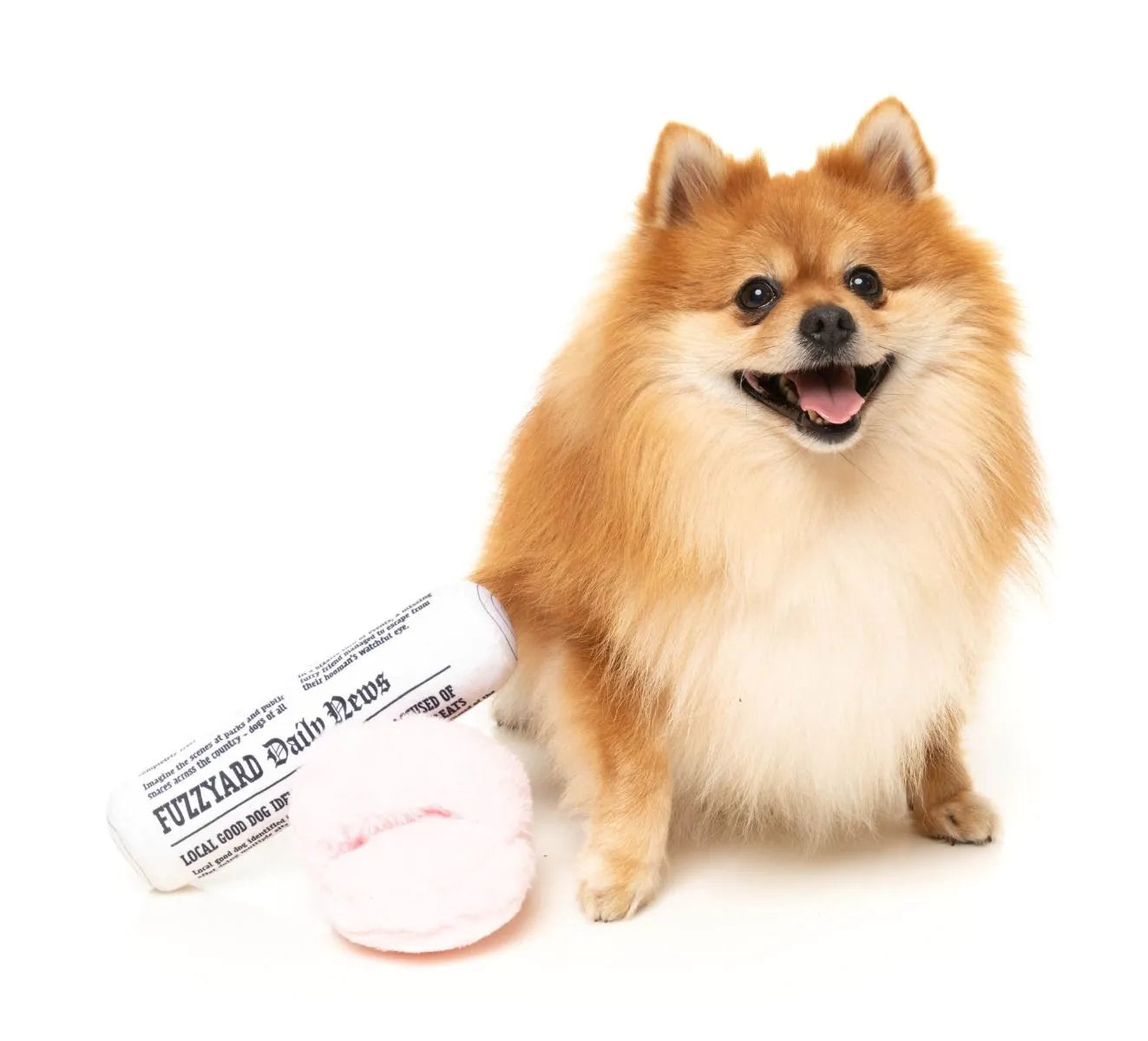 Fetch & Slippers & Papers, Fuzzyard