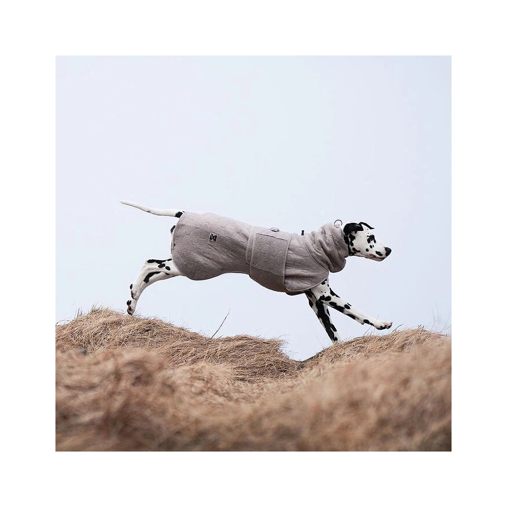 Drying coat, non-stop dogwear