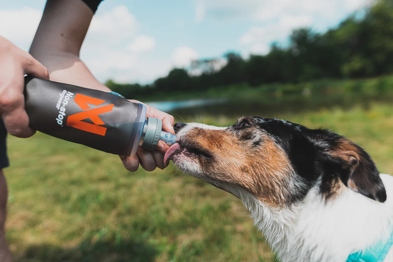NS Softflask 500 ml, Non-stop dogwear