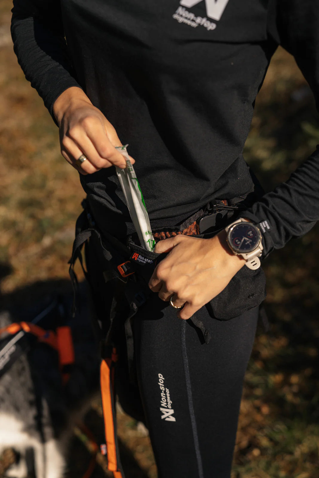 Trail light Belt, Non-stop dogwear