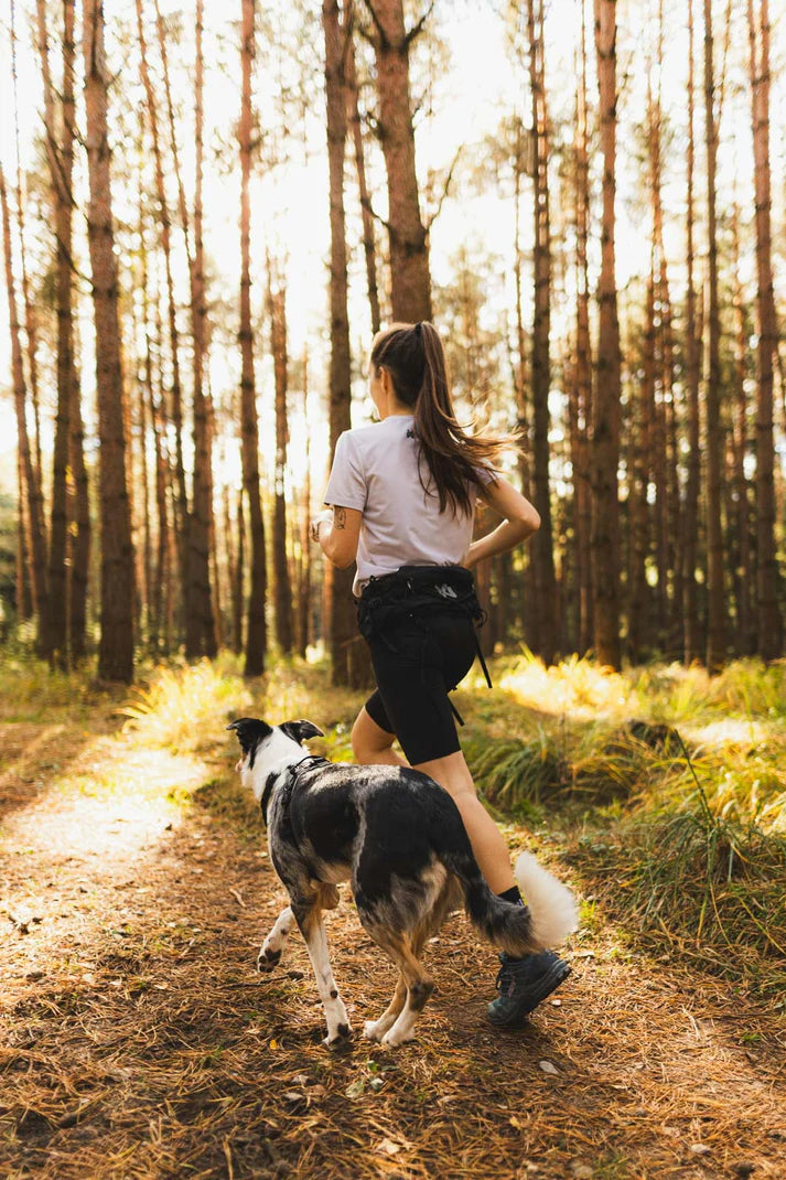 Trail light Belt, Non-stop dogwear