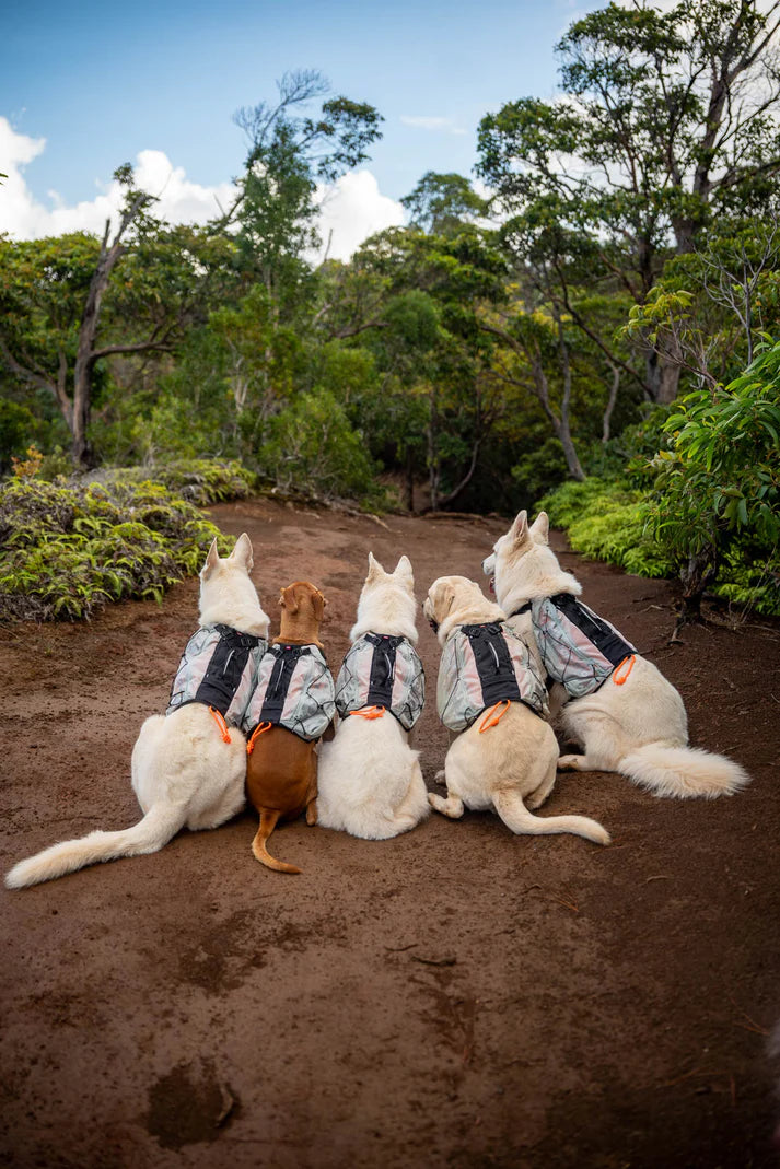 Trail light Dog Backpack, Non-stop dogwear