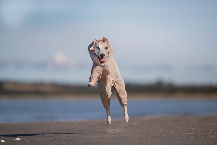 Trail quest fleece overall, non-stop dogwear